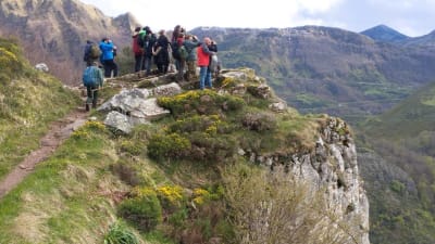 Escuela Superior de Medio Ambiente - hipica in Arroyomolinos