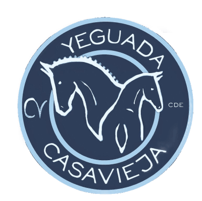 Yeguada Casavieja - hipica in San Sebastián de los Reyes