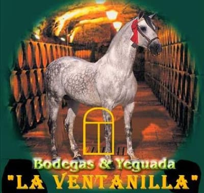 Yeguada la Ventanilla - hipica in Medina del Campo