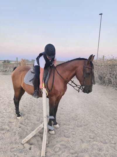 Centro Ecuestre Entreviñas - hipica in Mucientes