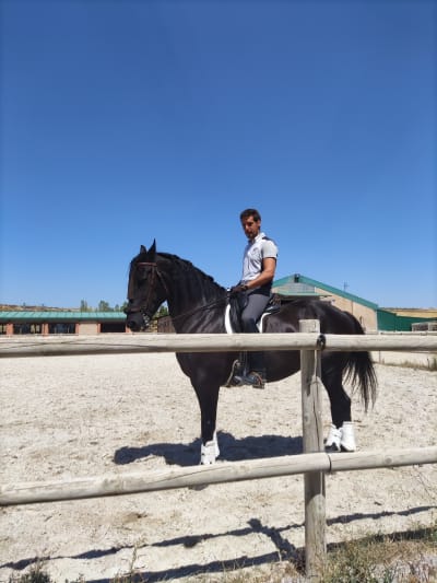 El Establo - hipica in Mucientes