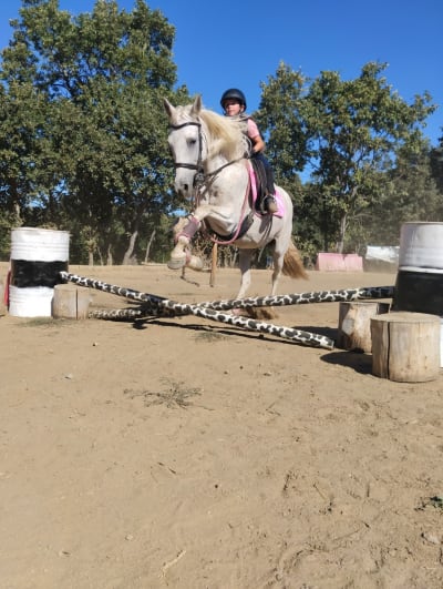 Equitación Navacarros - hipica in Navacarros