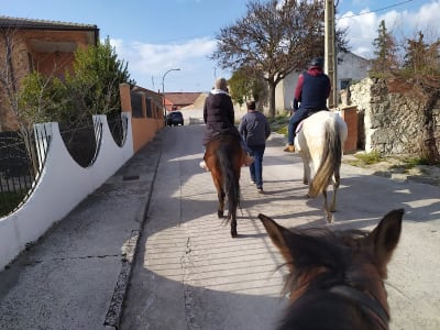 centro ecuestre solero - hipica in Tiedra