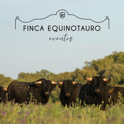 Finca Equinotauro - hipica in Alaejos
