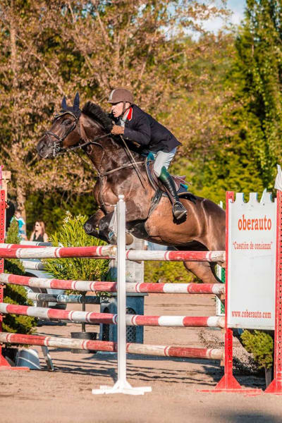 Club Hípico El Troton - hipica in Ponferrada