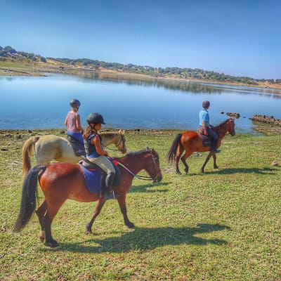 Prados y rutas ecuéstres - hipica in Villasbuenas de Gata