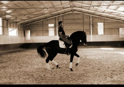 Centro ecuestre Félix Fondón - hipica in Arroyo de la Luz