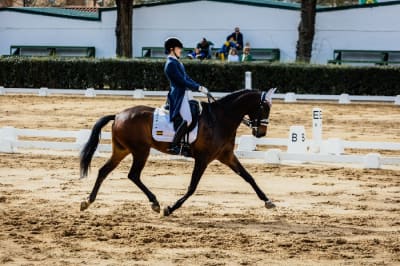 Centro ecuestre El Cachito - hipica in Badajoz