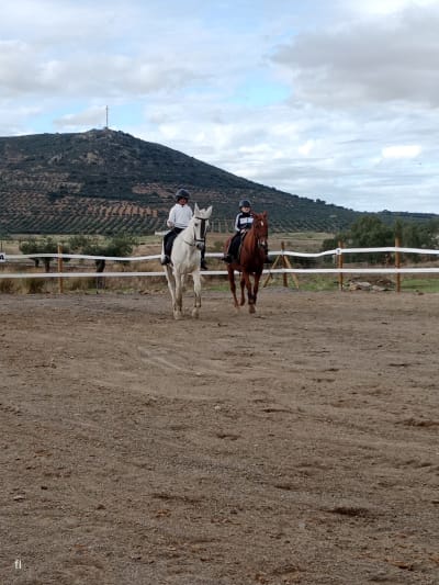 Centro ecuestre Entrevarales - gimnasia in Cabeza del Buey