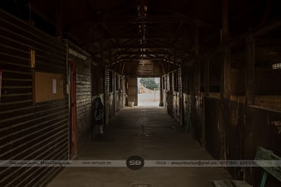 Centro Ecuestre Don Tello - golf in Mérida