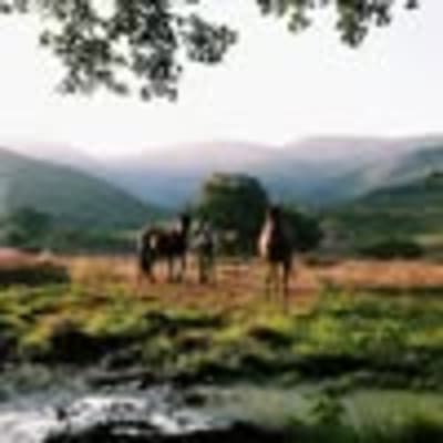 Picadero "Los Pilones" - hipica in Jerte