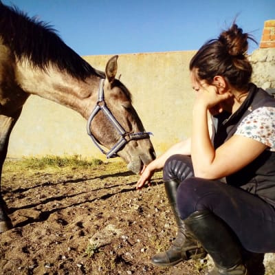 Equus-Feral - hipica 