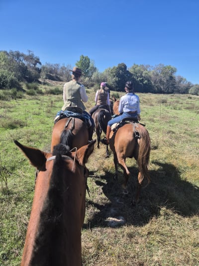 CABALGANDO EN GREDOS - hipica in Ramacastañas