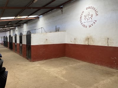 Club Hipico Miguel Izquierdo - hipica in Puertollano