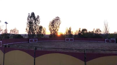 Picadero Las Cruces - hipica in Don Benito