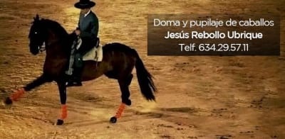 Caballos Jesús Rebollo - hipica in Cáceres