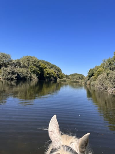 Finca La Boguilla - hipica in Villanueva de la Vera