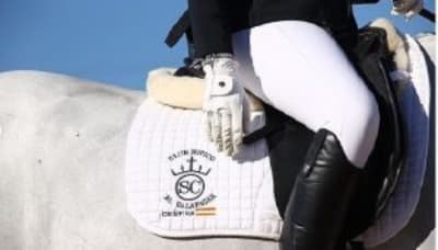 Club Hípico El Galapagar - hipica in Bollullos de la Mitación