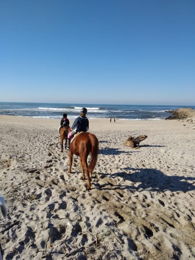 Clube Hípico da Costa Verde - hipica in Espinho