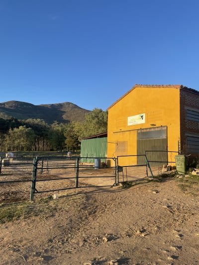 Caballos la vera - hipica in Jarandilla de la Vera