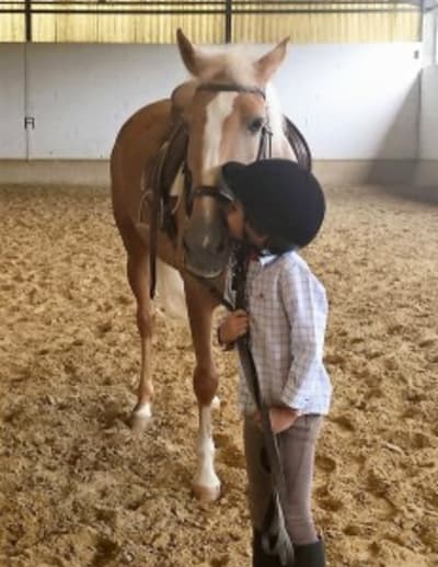 Escuela De Equitacion Al - Andalus - hipica in Dos Hermanas