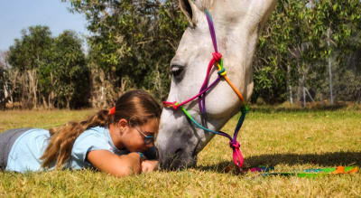Escuela Hípica La Cuadra - hipica in Campiña-Serrano