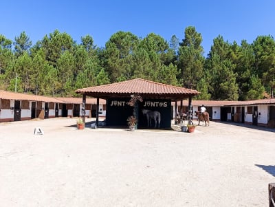 AHPV - Centro Hípico Montebelo - hipica in N337