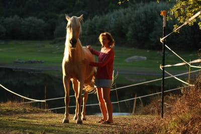 Cavalos no Rio Mondego - hipica in Póvoa de Midões
