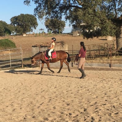 Centro Hípico de Arronches - hipica in Arronches