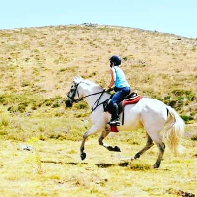 JEREBEQUE TRAILS- Horse Riding Holidays in Spain - hipica in Navarredonda de Gredos