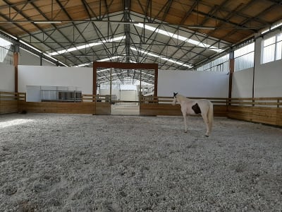 Equi-Águeda - hipica in Águeda