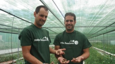 Helix Zamarro - hipica in Ciudad Rodrigo