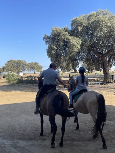 Centro Ecuestre El Jaroso - hipica in Fuente Obejuna