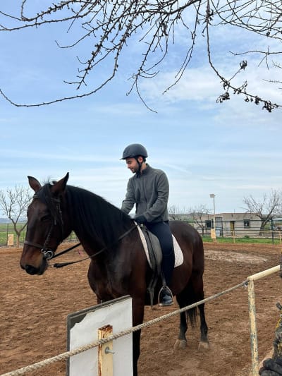 Centro Hípico El Pilar - hipica in Ciudad Real