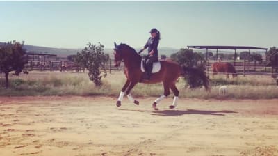 Centro Ecuestre Tania Alcoba - hipica in Don Benito