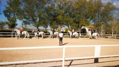 Centro Ecuestre Los Caireles - hipica in Villafranca de los Caballeros