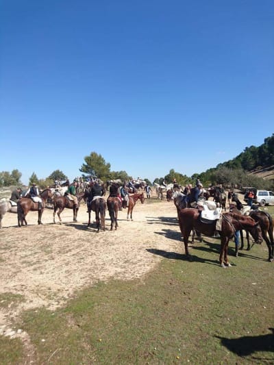 Centro Ecuestre Picadero Herraiz - hipica in El Porrosillo
