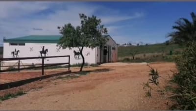 Centro Ecuestre Juan Mercado - hipica in Santisteban del Puerto