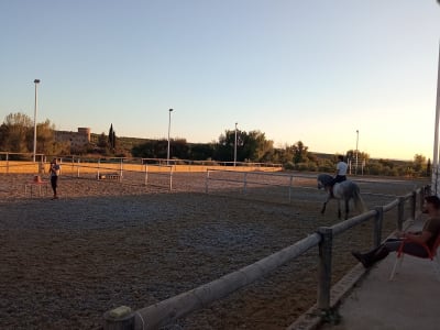 Centro Ecuestre - Yeguada Valenzuela - hipica in Linares