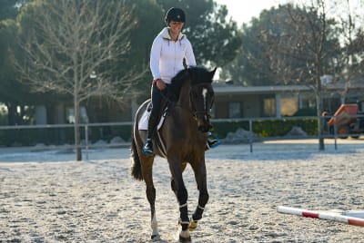 Emiralia Horse Corporation, S.L. - hipica in Villanueva de la Cañada