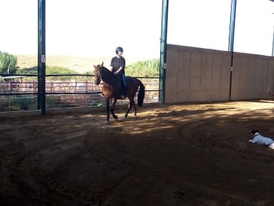 Yeguada La Loma - CE El Cachorro - hipica in Córdoba