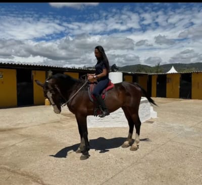 Centro De Equitación Y Doma Villa De Córdoba - hipica in Córdoba