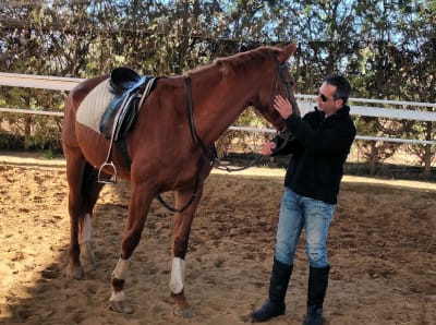 Escuela De Equitación Hípica Alisla - hipica in Sanlúcar la Mayor