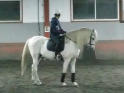 Centro Ecuestre Cortijada de Cuevas - hipica in Jaén