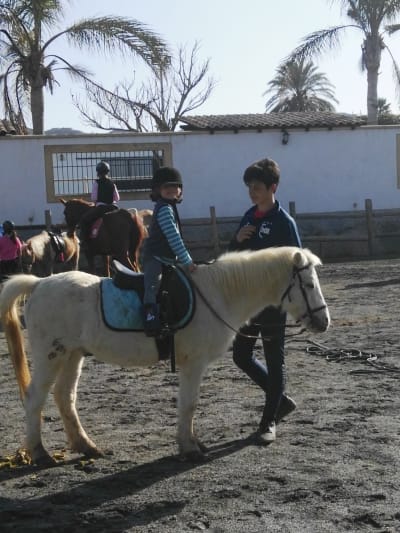 Hípico Pony Club Costa Tropical - hipica in Puntalón, Motril