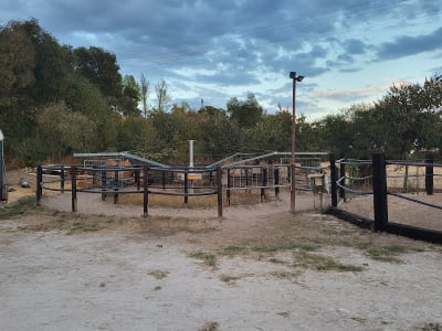 La Alameda Centro Deportivo Ecuestre - hipica in Córdoba