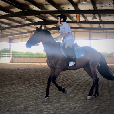 Centro Hípico La Herradura S. L. - hipica in Palma del Río