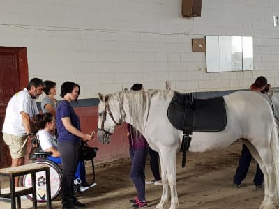 Centro Ecuestre, El Montejo. - hipica in Lucena