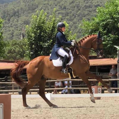 Nz Centro Ecuestre - hipica in Burguillos