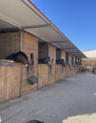 Centro Ecuestre Maria Cano - hipica in Málaga